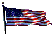 USA Flag